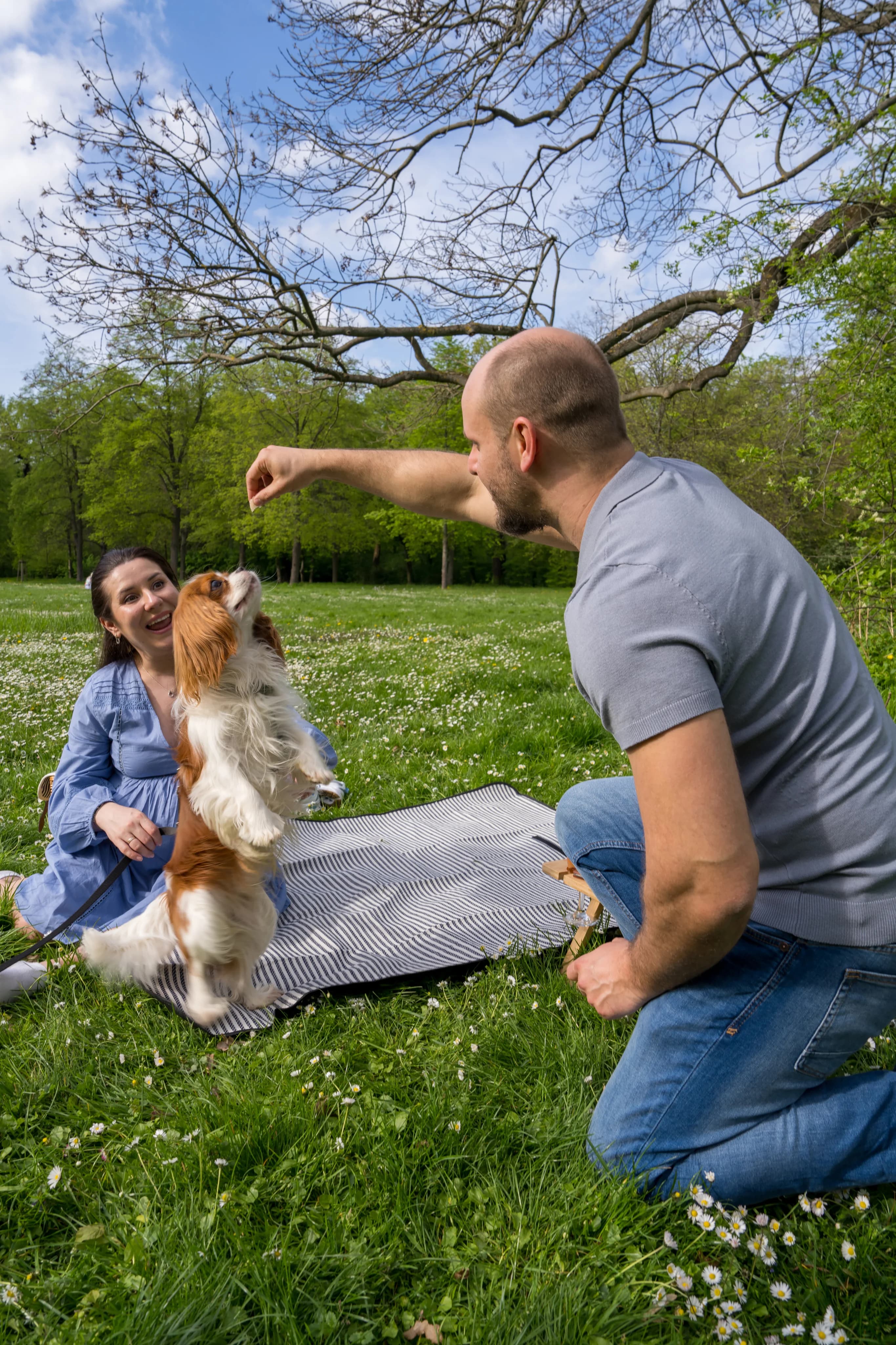 Dog owner playing with their dog in the park